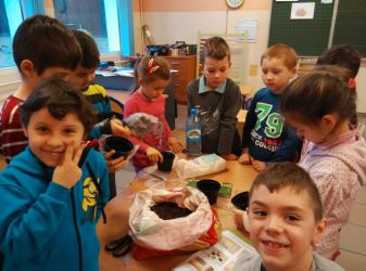 Zakładamy hodowlę rzeżuchy