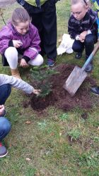 Dar Nadleśnictwa Rokita