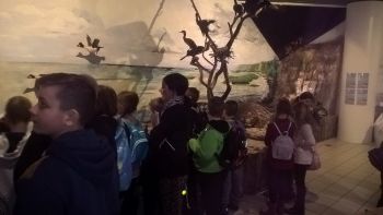 „Za niebieskimi drzwiami”