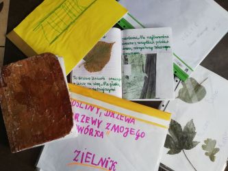 Zielnik trzecioklasistów